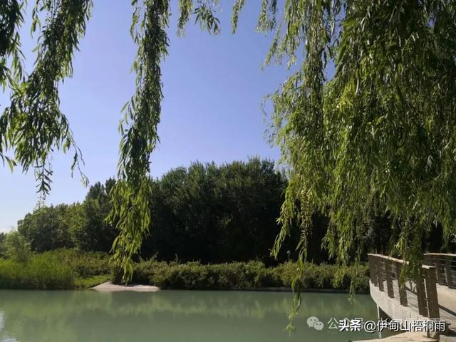新疆之行（九）博乐，一座令人心动的宜居城市