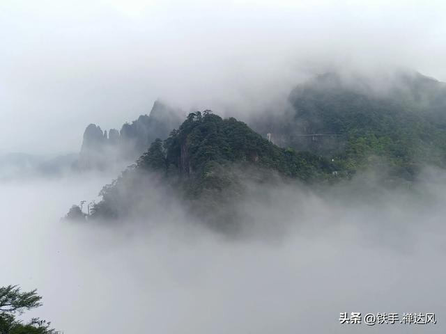 2025湖南行：仙气飘飘～莽山五指峰