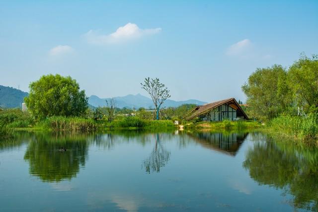性和命和寿的关联：命好长寿的男人，身上往往有这几种特征