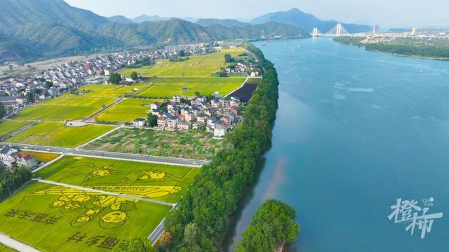 水上“飙车”、上天入地、策马奔腾……这个“十一”，奔赴桐庐尽情“放电”