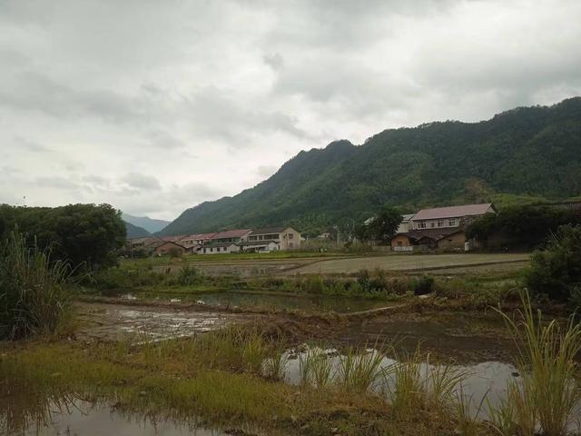 端阳喜伴小溪河，独有诗心迷远足——徒步小溪河散记（三）