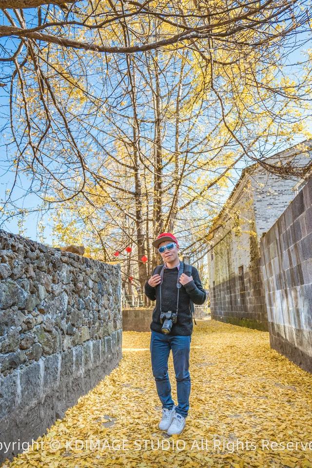 我愿称腾冲为秋季的天花板！银杏、温泉、古镇，来过的人都不想走