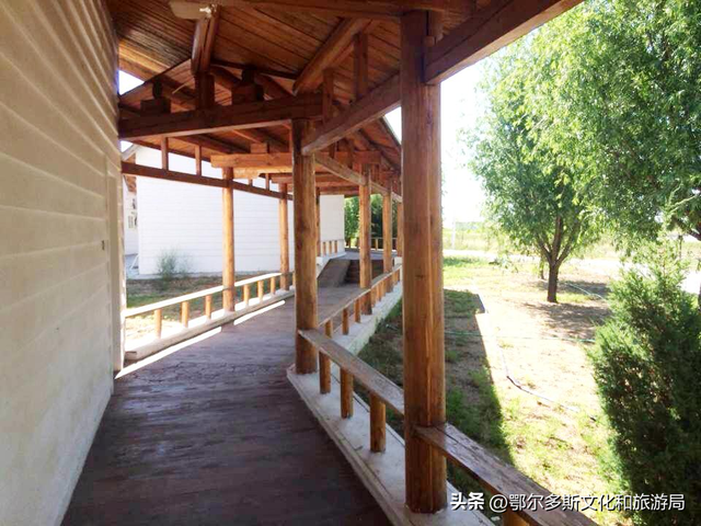 银发乐游线路：杭锦旗慢游深体验