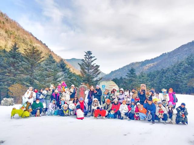 企鹅伴滑、与鹿同行，来神农架原始森林仙境尽情撒欢