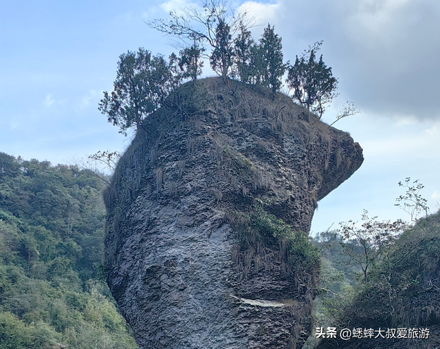 浙江“天花板古道”真棒，一路绿野仙踪，为懒人周末充电地！