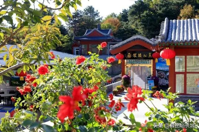 浓情五月・致敬母爱 | 母亲节五重惊喜已就位 快收藏!
