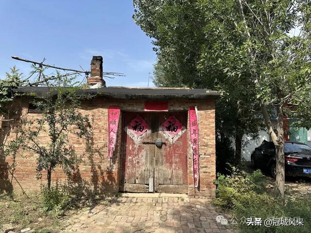冠县乡韵·定远寨镇前杏园村