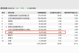 揭秘，牛散张素芬A股重仓14个股票，都埋伏成十大股东了图片