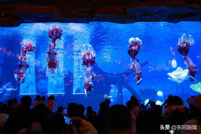 @2025级新生！济南景区福利来了