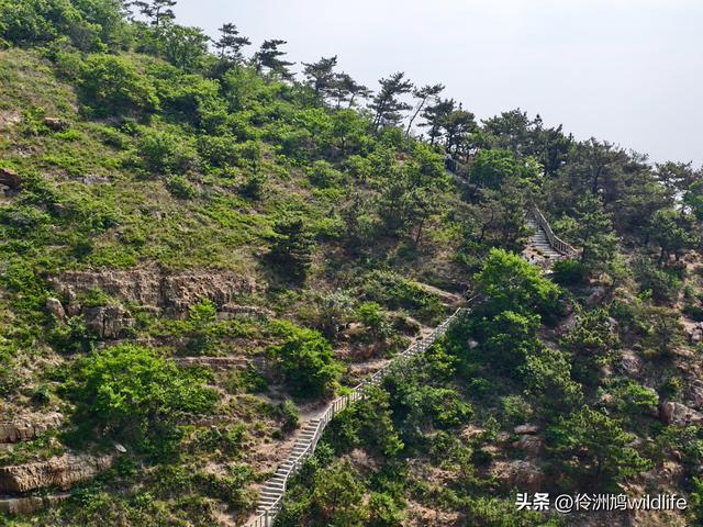 大连海之韵公园·棒槌岛