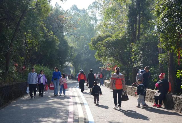 大年初六，迎六顺！观音山上众多游客接福接顺，解锁新春顺心游