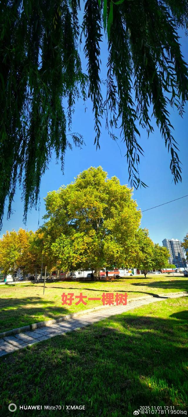 卫辉的那些小众景点