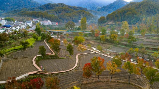 大别山中徐凤冲