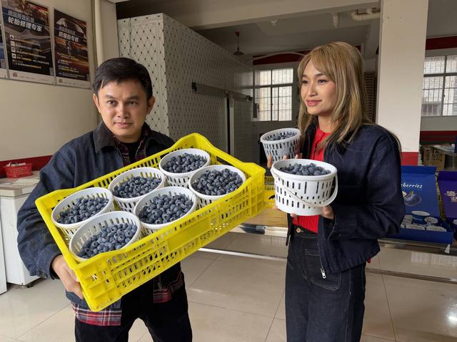 【外眼看云南】从雪山到蓝莓园：一场跨越千里的“胞波”暖冬行圆满结束