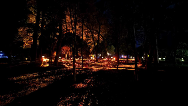 光影为径，南华寺新春灯会年初八启幕