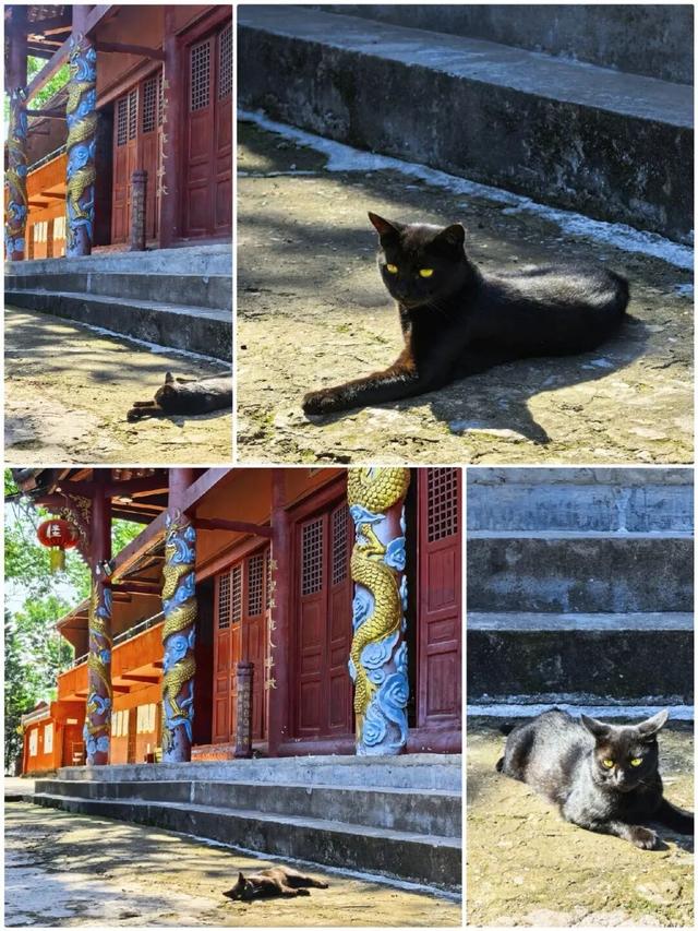 与青城山齐名！成都南门0.5h直达小众古寺，人少景美徒步好去处！