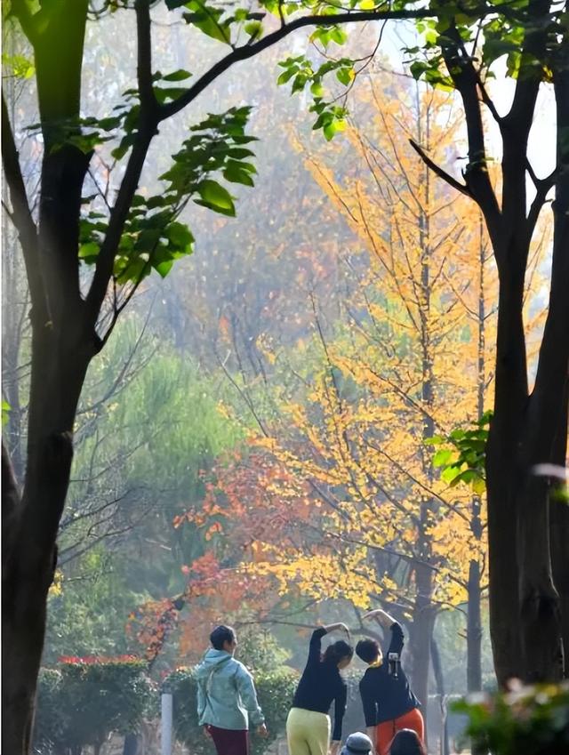 五彩斑斓的白龟湖国家湿地公园