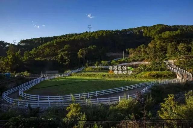 思茅打卡全攻略！这些宝藏点位 茶咖食宿玩一站式承包 | 有一种叫云南的生活
