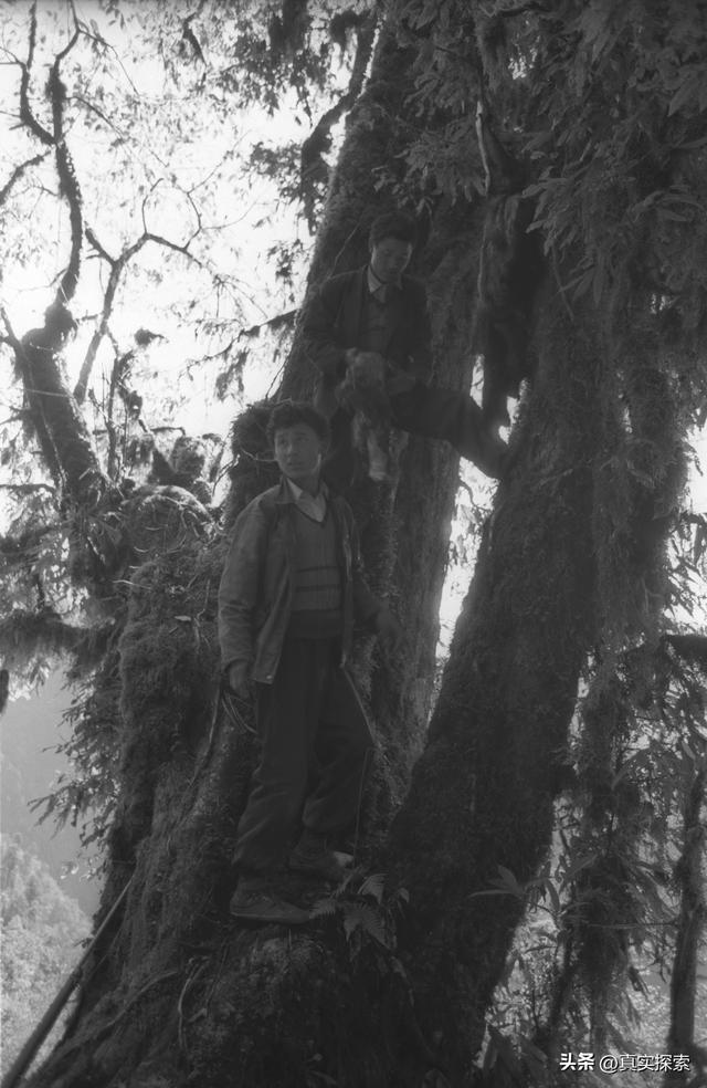 40 寻找大瀑布【坡间营地—瀑布 A】 多云间晴（日记版）雅漂徒步