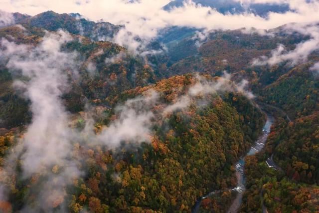 来洋县华阳!赴一场秋日之约~