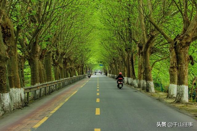骑行=低碳+健康+美景+挚友，专家揭秘：退休后最该有的生活方式