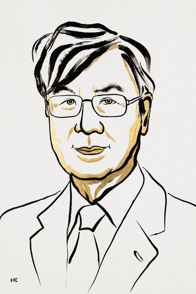 2025诺贝尔医学奖：发现免疫系统的"刹车机制"