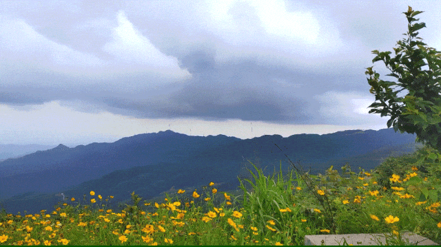 秋冬遛娃“药”新鲜！能吃能玩还能“养”，这条游玩路线一站式拿捏