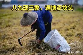 “八九现三象，遍地添坟头”，今日交八九，“3象”指啥？早防备图片