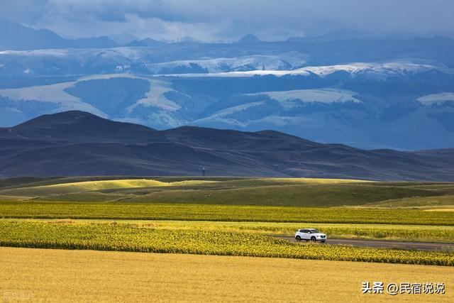 33峰骆驼，100天重走3000公里丝绸之路，成功啦！