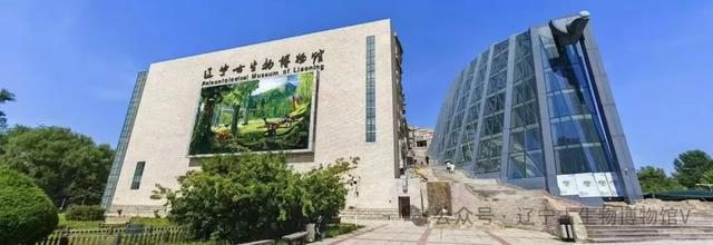 沈阳，太热闹了！