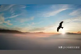 年终岁尾感悟，年终总结走心文案，诗意唯美精辟感言图片