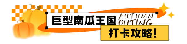 相约世界花卉大观园！丰台将迎巨型南瓜王国、全国菊花擂台赛！