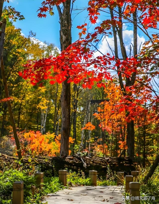 盘点——中国秋色最美风景所在地：总得去一个没去过的地方！