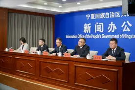 全国种植枸杞90%以上的品种和80%以上的种苗均来自宁夏图片