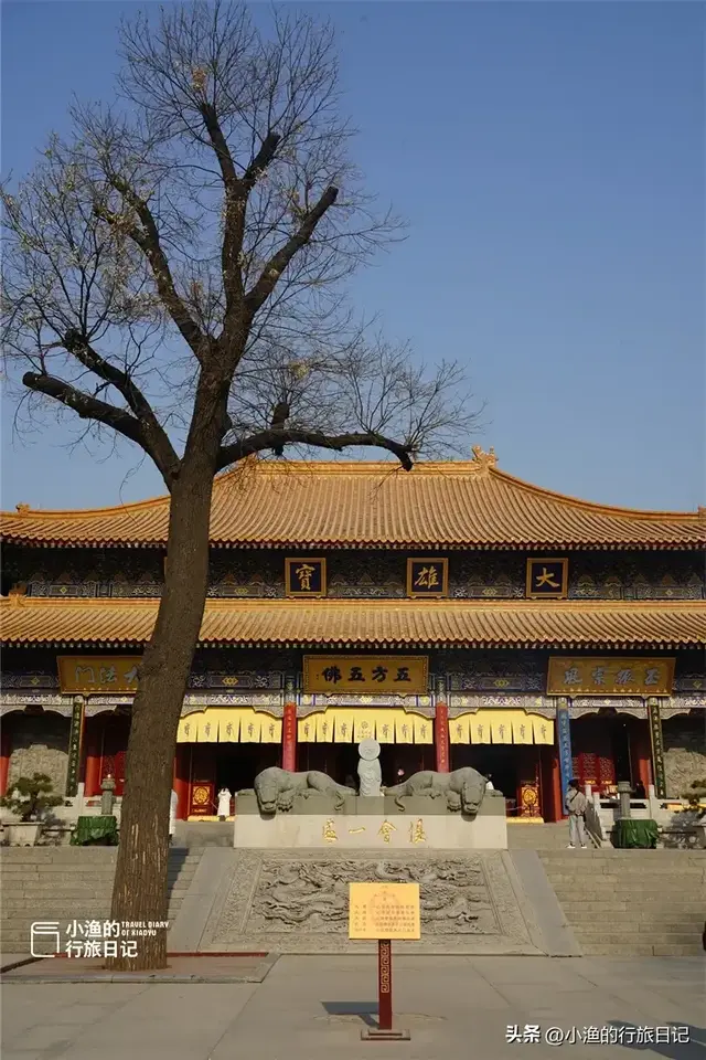 西安冬日最有韵味的美景地：一入其中，便是长安