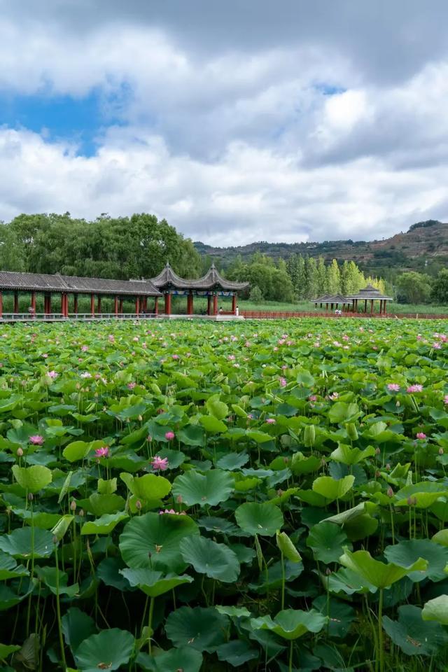巧盼君至 | 山水画卷 陇南瑰宝：西和晚霞湖 共醉半湖流彩云霞！