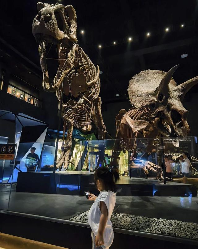 南宁亲子遛娃新地标！规划馆旁的“侏罗纪世界”，带娃玩出新鲜感