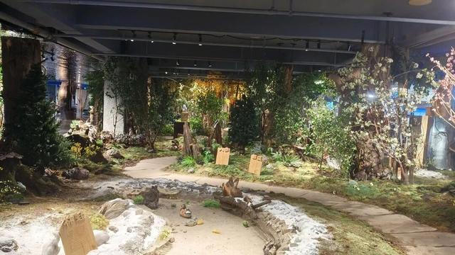 乘着高铁游白山 | 沿江主题精品旅游线路