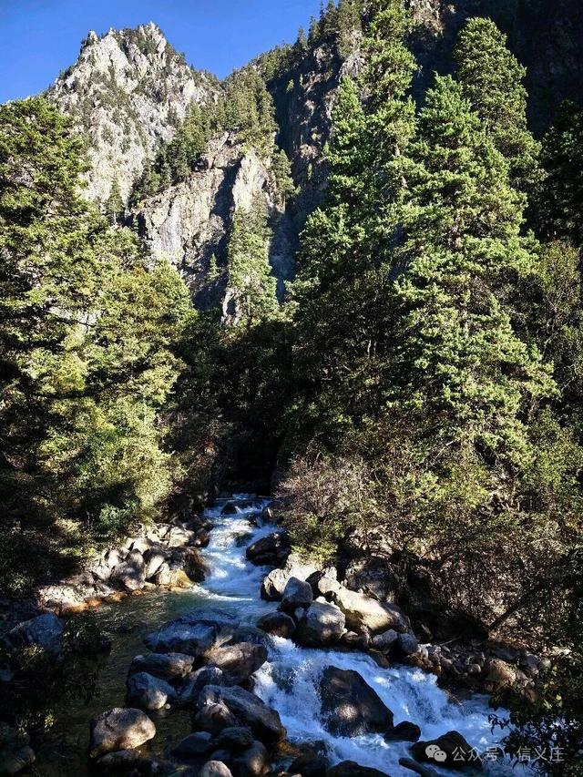 雨崩，一个让人语崩的地方（四）蹦蹦跳跳出雨崩