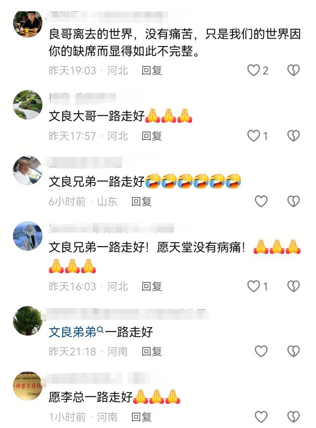 河北苗木老板李文良去世，年仅46岁，开奥迪玩手串，原因让人惋惜