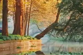 中式美学！清晨的西湖氛围感拉满图片