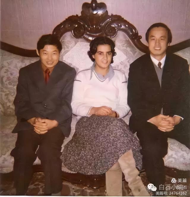卡拉布里亚大学的松树