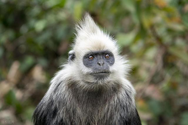 桂地趣闻二十四则