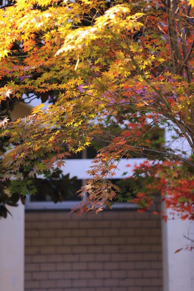 每天早上人气爆棚！就在日照这里！