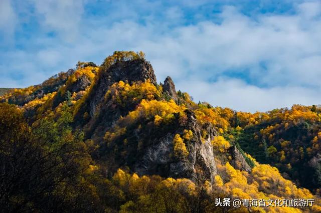 双节假期寻秋记：互助北龙山——藏在互助的“调色盘”，每一步都是诗意