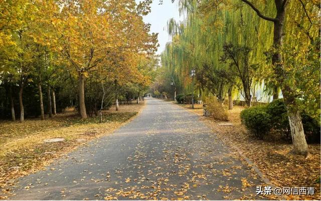 不出天津,也能“周末到河北”……