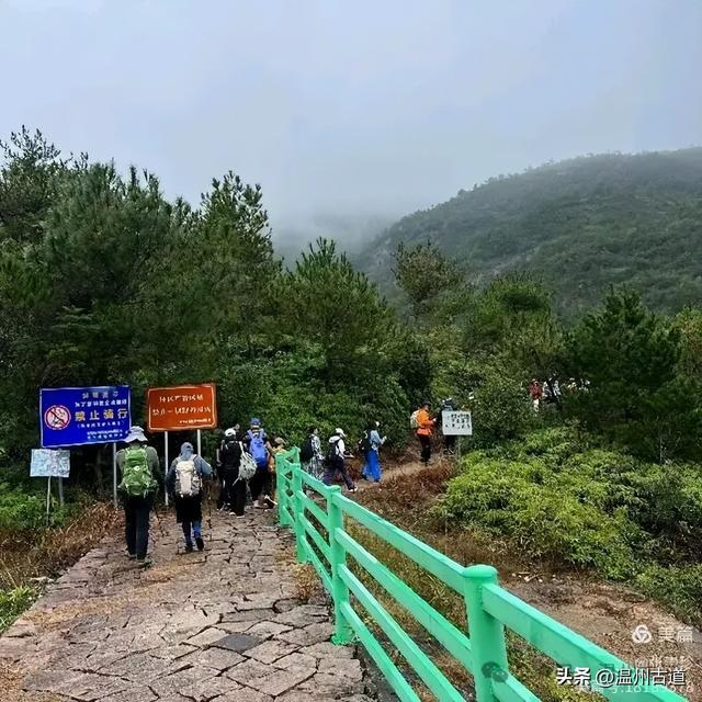 周末徒步去！这个有"温州版武功山"之称的名山，你可要去爬一次
