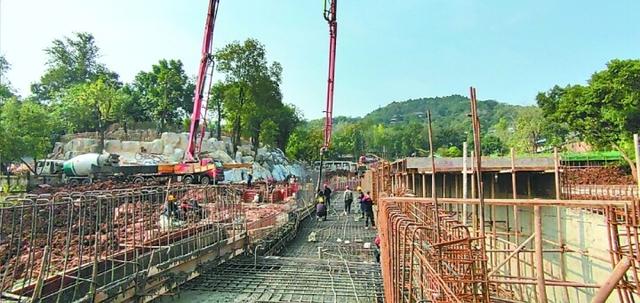 南充看大熊猫？熊猫三国城明年元旦开园