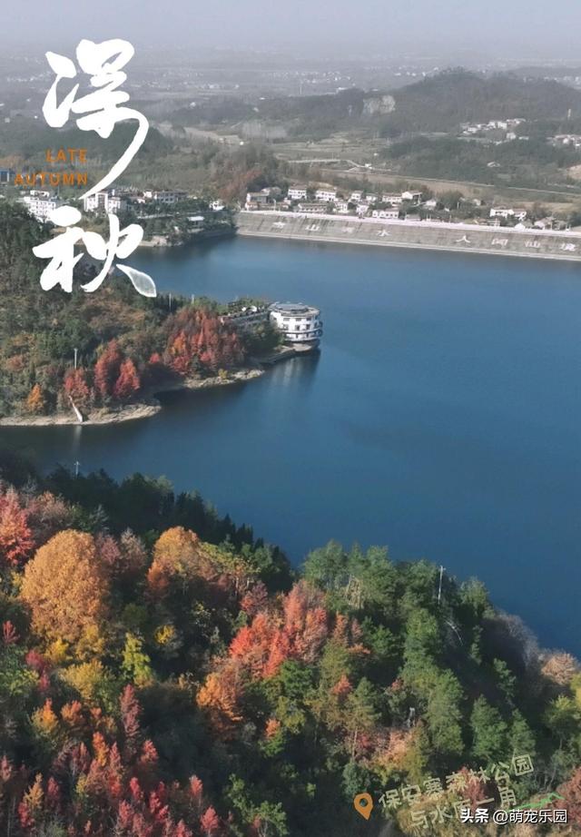 十一月底道观河，满山红叶如火海，湖心蝴蝶结美得让人窒息