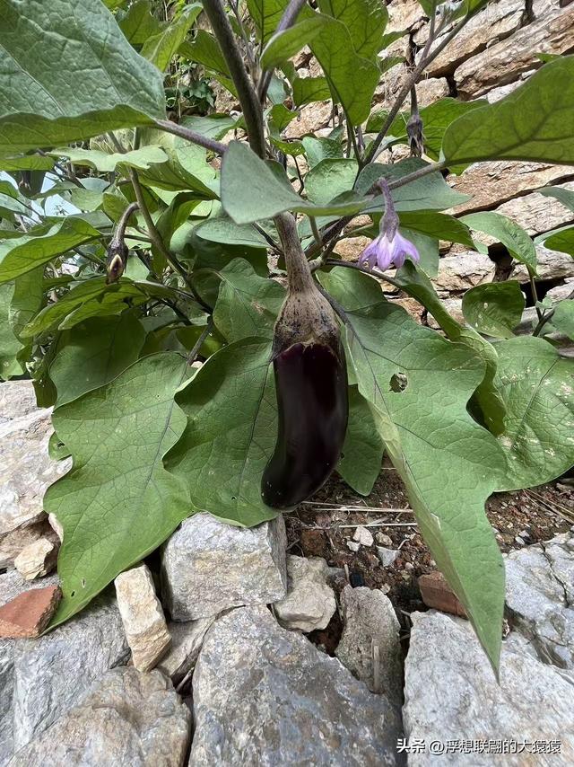 莱芜禹王山顶有座明初建立的古村：东平洲